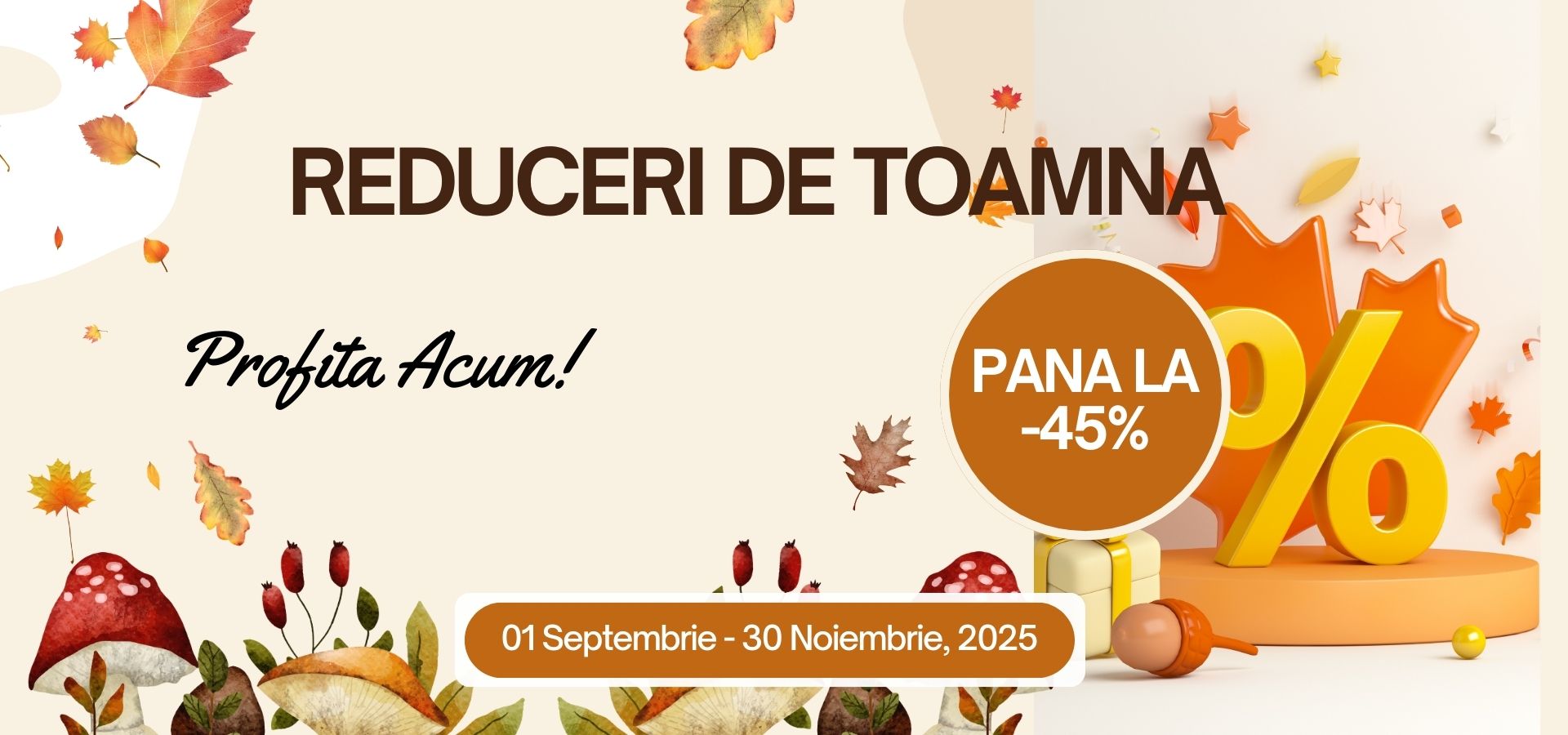 reduceri de toamna casyo.ro