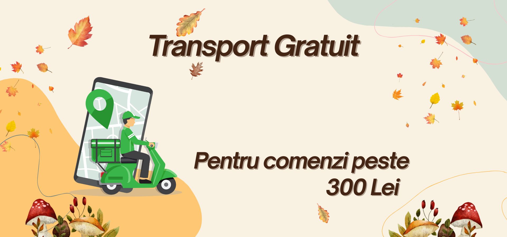 transport gratuit casyo.ro